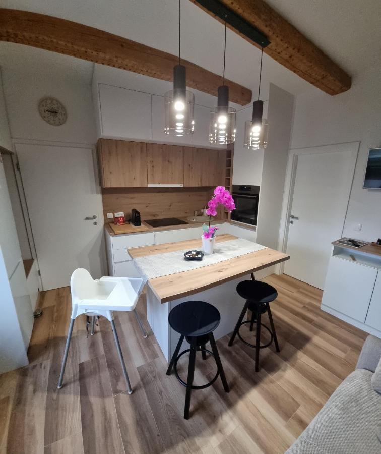 Apartman Orhideja Daire Fužine Dış mekan fotoğraf